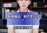 新婚姻法离婚咨询常见问题有哪些？如何应对？