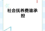 社会抚养费退出历史舞台，其影响有哪些方面？