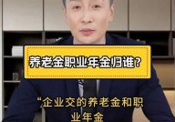 职业年金与养老保险有何不同？请解释