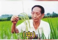 袁隆平享受什么级别待遇？他的成就有哪些？