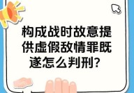 投放虚假危险物质罪的法律后果是什么？