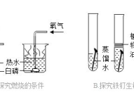 蜡烛燃烧的探究实验怎么做？有哪些科学原理？