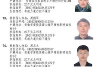 如何查询失信被执行人名单？有官方渠道吗？