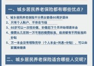 养老金补交新政策有哪些？个人如何办理？