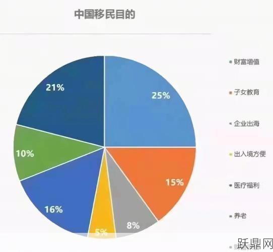 当前有哪些移民政策可以选择？各自有何优势？