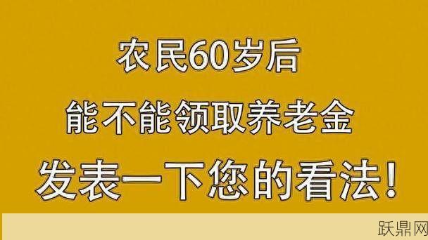 农村60岁补助标准是多少？如何申请这项补贴？