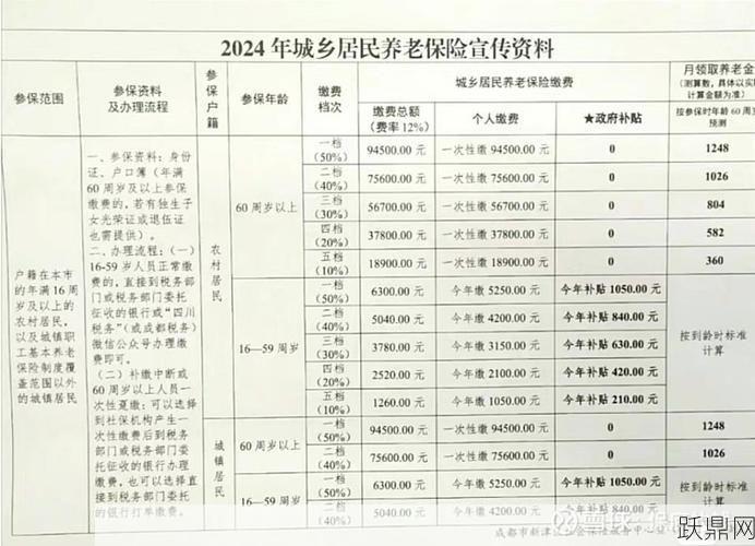 一次性补缴养老保险的具体政策是？