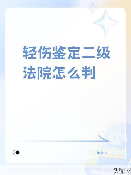 轻伤二级的概念和法律含义是什么？