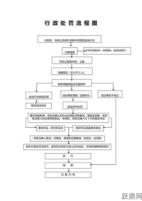 行政处罚由哪些机关实施？具体流程是怎样的？